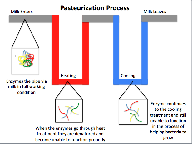 heroes-of-food-safety-louis-pasteur-and-the-invention-of-pasteurization